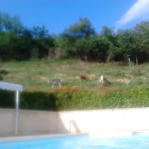 Appartement Les Tilleuls, Riez